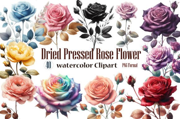 Watercolor Dried Pressed Rose Flower: A Botanical Asset for Your Designs
